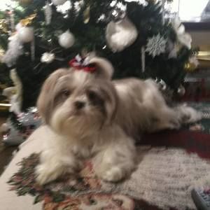 Meet your Posher, Kathy